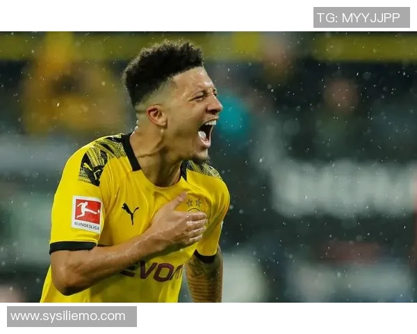 桑乔的足球之路：从天才少年到世界舞台的璀璨明星