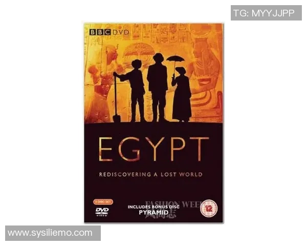 斯通斯的传奇旅程探索音乐与文化的交汇点