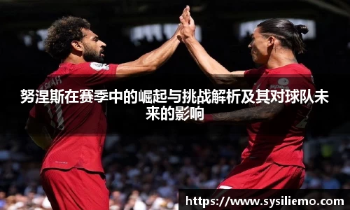 努涅斯在赛季中的崛起与挑战解析及其对球队未来的影响