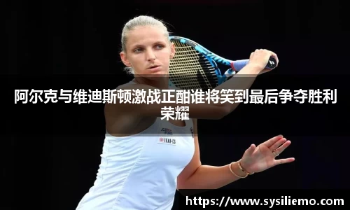 阿尔克与维迪斯顿激战正酣谁将笑到最后争夺胜利荣耀