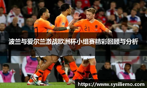 波兰与爱尔兰激战欧洲杯小组赛精彩回顾与分析